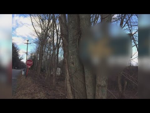 Ledyard town council meeting discusses swastika graffiti found on pro-Trump sign