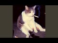 Otro Trago (Slowed)