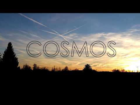 BIG TONY - COSMOS [ADELANTO] // 31/12/2018
