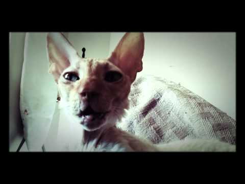 Jake Through the Years