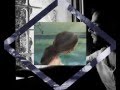 The Norman Haines Band - Elaine (lyrics vid) UK ...