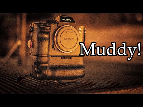 A7IV VS A7Riii Low Light Video and Image Quality!