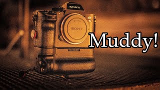 A7IV VS A7Riii Low Light Video and Image Quality!