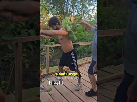 ต้นไม้มีบางต้นในป่าแอมะซอนมีพิษร้ายแรง