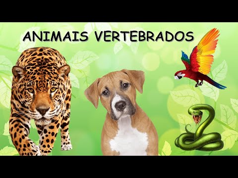 ANIMAIS VERTEBRADOS/mamíferos,aves ,peixes ,répteis e anfíbios