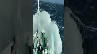 Download lagu ombak samudra Pasifik #youtubeshorts mp3 Download lagu ombak samudra Pasifik #youtubeshorts mp3