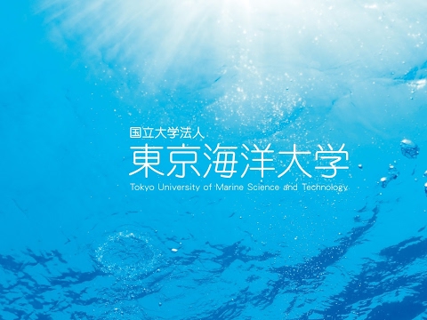 海洋電子機械工学科 TUMSAT のライブ ストリーム