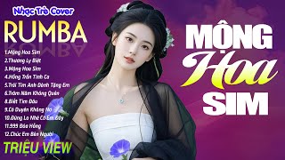 MỘNG HOA SIM , THƯƠNG LY BIỆT - LK Nhạc Trẻ Rumba 8x 9x Hót TikTok - ALBUM RUMBA XUẤT SẮC NHẤT 