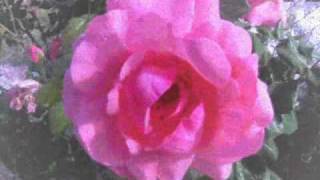 psixi mou vasta-Stavento (Photo Tsoumplekas marios)