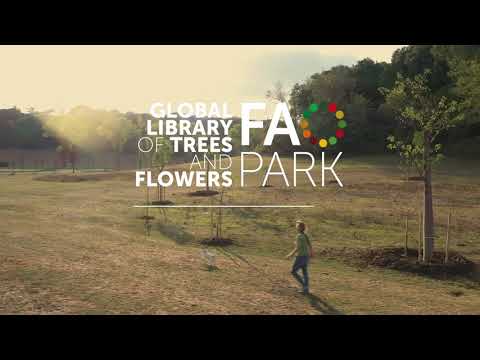 The making of the Global Library of Trees and Flowers – FAO Park