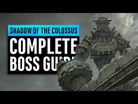 Shadow of the Colossus | Complete Boss Guide (Normal/Hard/Time Attack)
