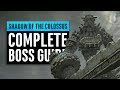 Shadow of the Colossus | Complete Boss Guide (Normal/Hard/Time Attack)