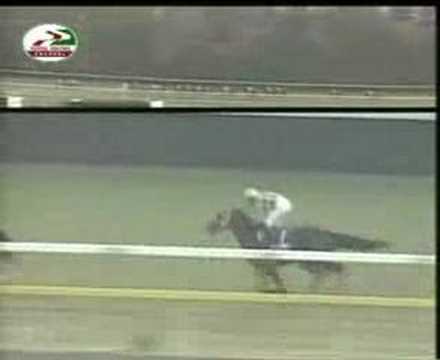 Japan Cup - An exciting race and rarely won by a foreign horse, photo finish.