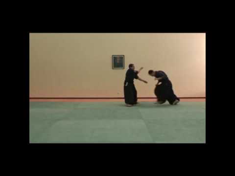 Soto kaiten nage - Aikido FAKVDF école Aikivudao