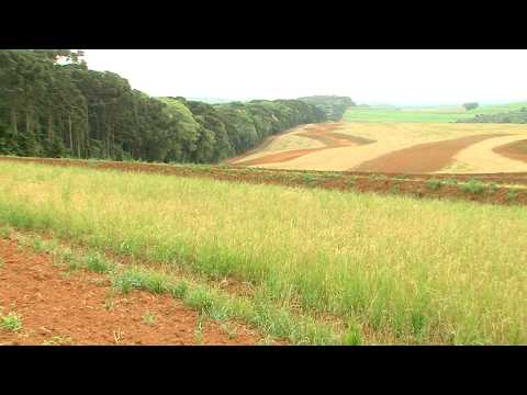 IDR-Paraná promove capacitação estratégica em terraceamento e conservação de solos