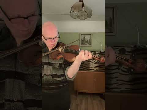 Snad jsem to zavinil já - Part 2 - Smyčec po výměně žíní - housle - samouk