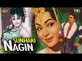 सुनहरी नागिन Sunhari Nagin 1963 -  | Dramatic Movie | Mahipal, Helen, Sulochana Latkar. - HD