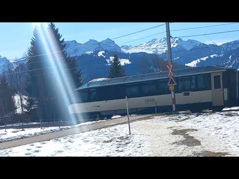 【GoldenPass Panoramic】Beautiful panoramic train at the level crossing in Schönried