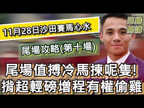 【賽馬貼士】香港賽馬 11月28日 沙田馬場 尾場攻略|尾場值搏冷馬揀呢隻 揹超輕磅増程有權偷雞