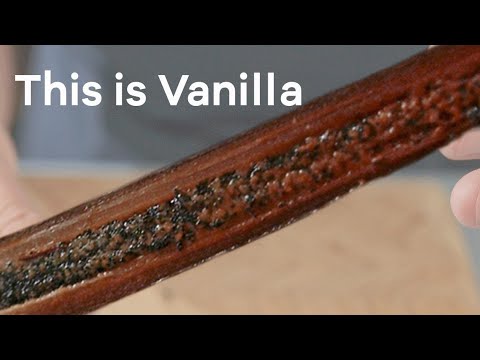how to MAKE YOUR OWN VANILLA