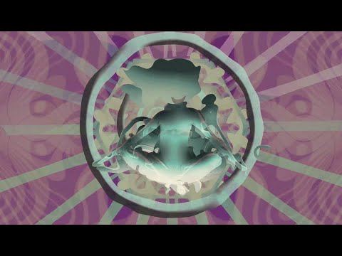 Video Placeholder