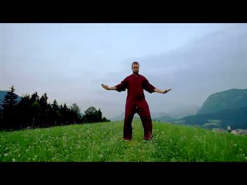 Qi Gong - Die Harmonie der 5 Elemente