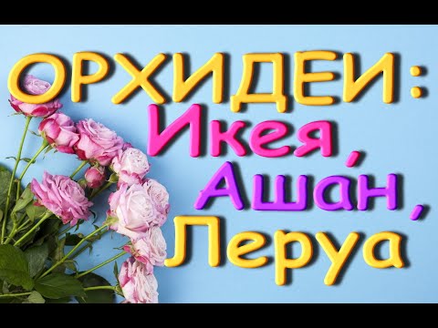 ОРХИДЕИ:Икея,Ашан,ЗАВОЗ в ЛЕРУА,ТЦ"Мега",31.07.20,Самара.