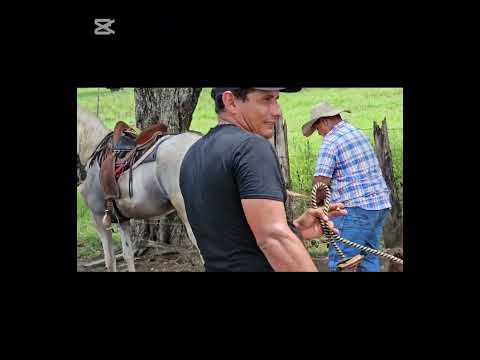 GANADERÍA RANCHO CONTEINER NICOYA GUANACASTE 