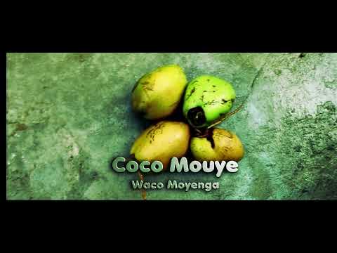 Waco Moyenga - Coco Mouye (Official Ghetto Visualizer) Waga