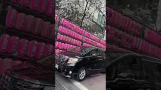 #POV: you see cherry blossoms in real life for the first time ever.. #shorts #skyyjade