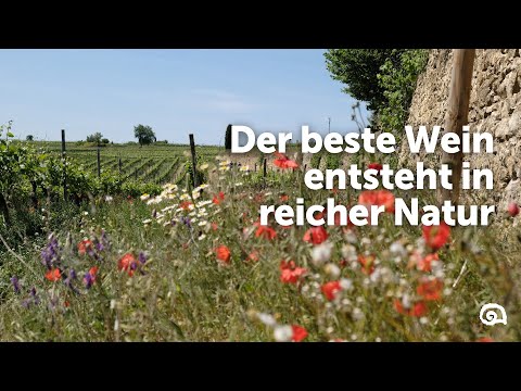 Delinat Methode - Vortrag von Daniel Wyss zu Permakultur, Agroforst und Regenerativer Landwirtschaft