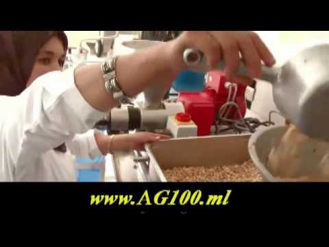 Jersey City Argan Oil Supplier