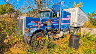 1981 Peterbilt 359 RESCUED from its GRAVE - WILL IT RUN??