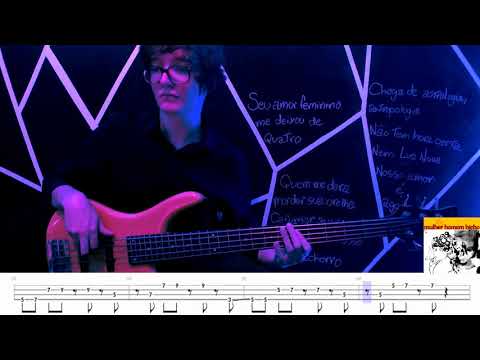 Mulher Homem Bicho - Ana Frango Elétrico