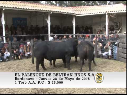 28-05-15 Venta de Toros P.P Y P.C. - El Palenque de Beltran Hnos S.A. - Bordenave