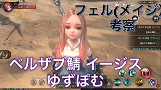 【ヴェンデッタ】メイジ考察  ♯2【ベルサブ鯖イージス】