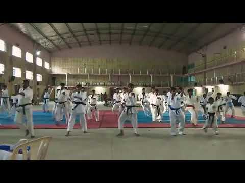 KARATE-group punches (sukhis)|| Explosive KARATE-SHOTOKAN