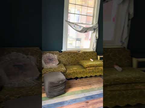 156 Lee Road 175 Salem, Alabama