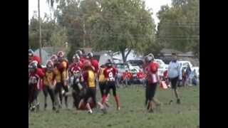 preview picture of video 'Connor McNulty New Carlisle Cubs Football Touchdown'