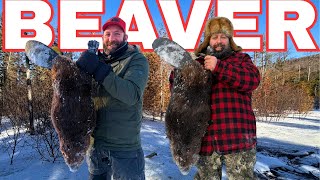 Beaver Trapping in Northern Maine Off Grid Camp