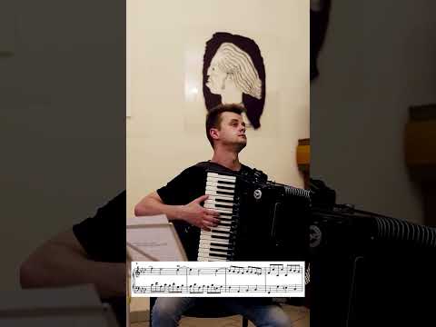 D. Scarlatti - Sonata f minor K386 #baroque #classicalmusic #accordionist #harpsichord  #scarlatti