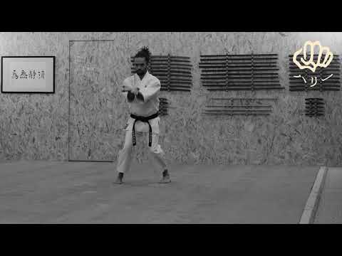 Shisochin [Karaté Shito-Ryu Shukokaï] - Hary Randrianarisoa