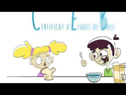 CFWB - CEB | CAPSULE 12