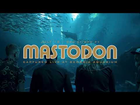 Mastodon Live Performance Experience At Georgia Aquarium