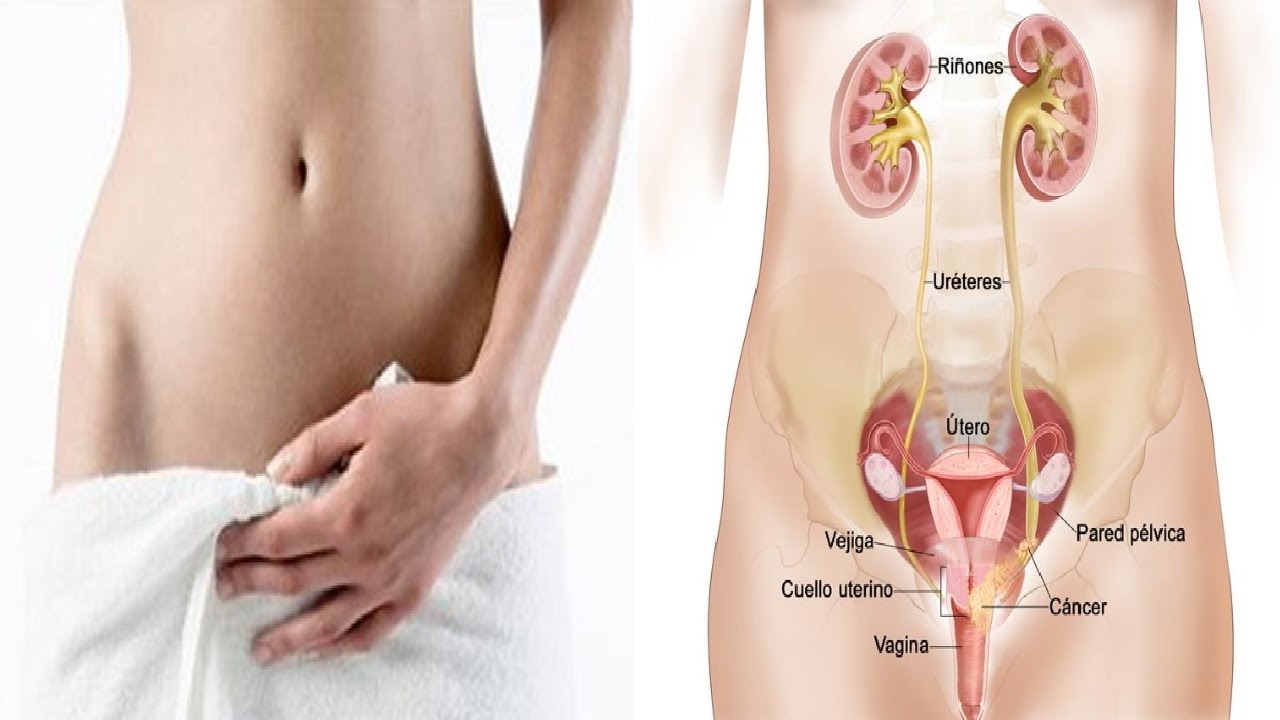 Sandra Liliana Guizar Naranjo-5