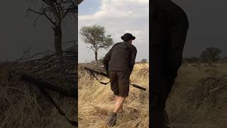 Aktion in Namibia- Da wo der Wind Jagd 💨 #jagd #hunting #gnu