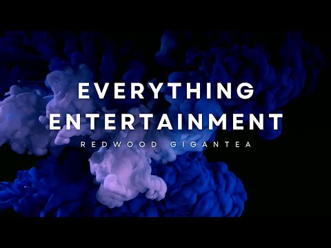 Everything Entertainment Season 2 Episode 7: The Birdie Episode