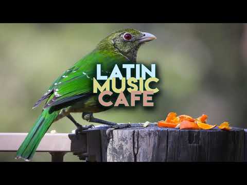 Mr. Sutra - Tha Compas feat. Mr. Sutra - Memorias | Latin Music Cafe ☕