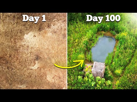 Man Builds a Wildlife Pond on His Property