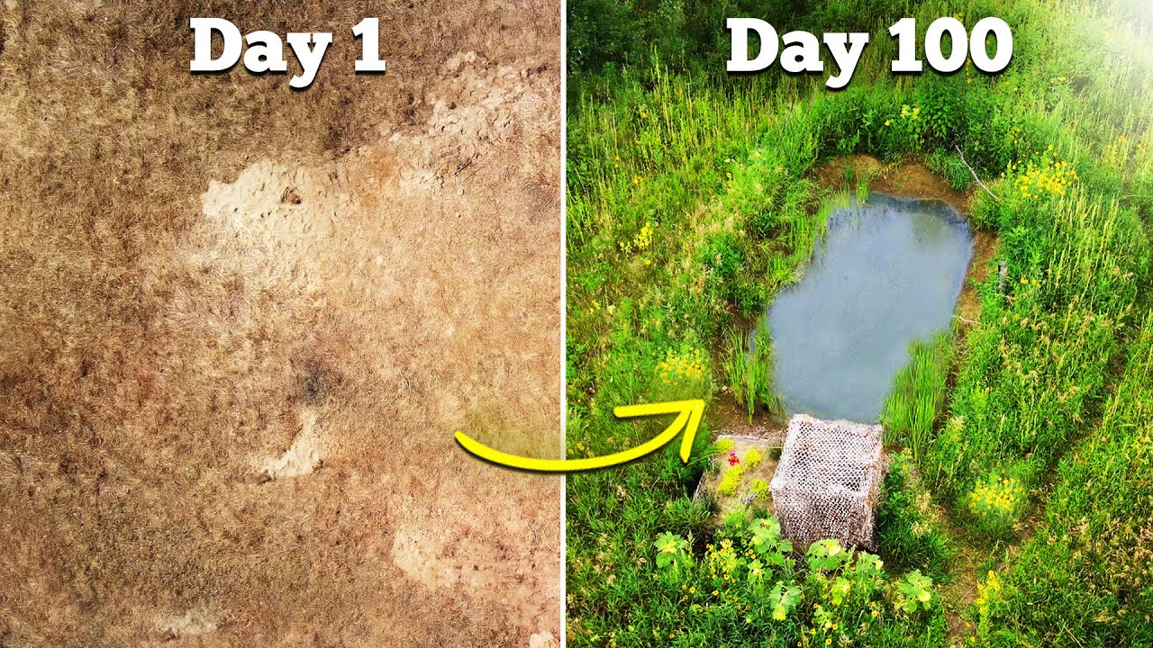 I Built a Wildlife Pond - here's what happened